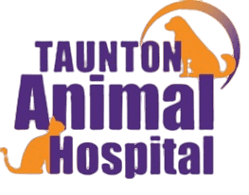 Taunton Animal Hospital 
